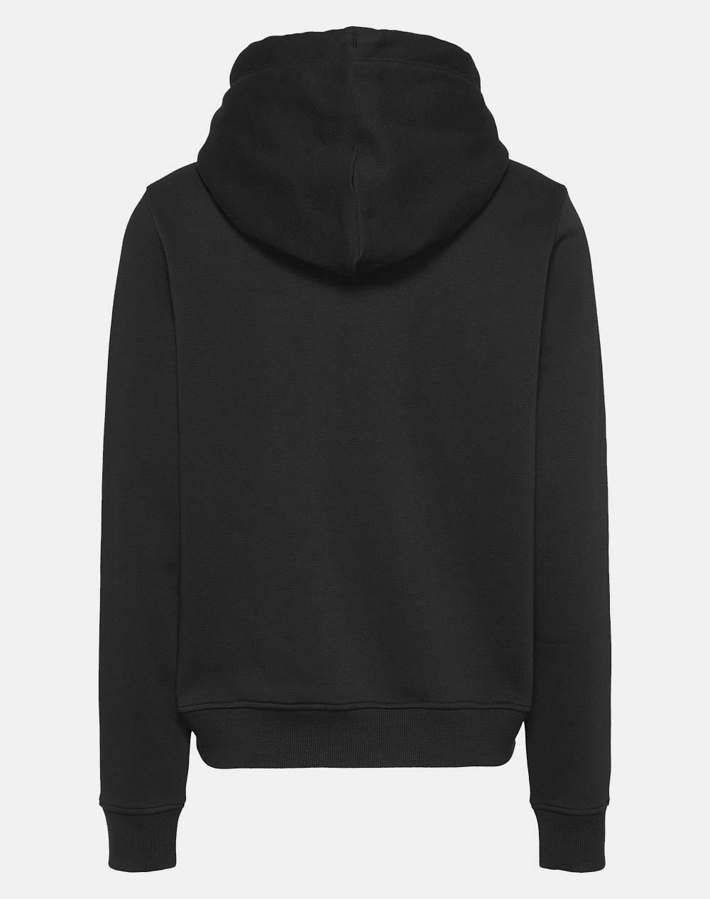 TOMMY JEANS TJW REG LINEAR HOODIE