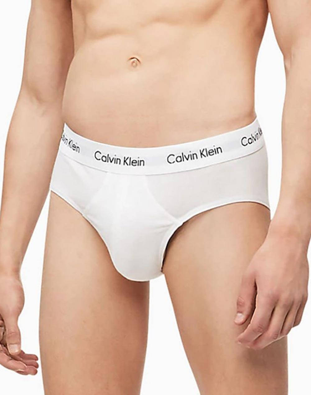 CALVIN KLEIN HIP BRIEF 3PK