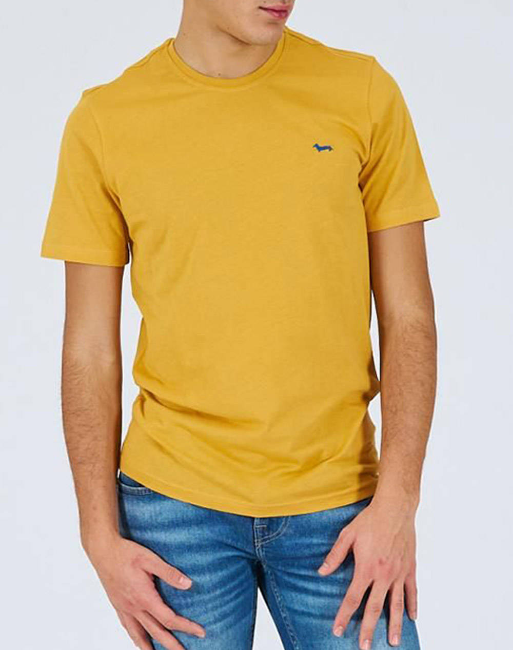 HARMONT & BLAINE T-SHIRT COTONE