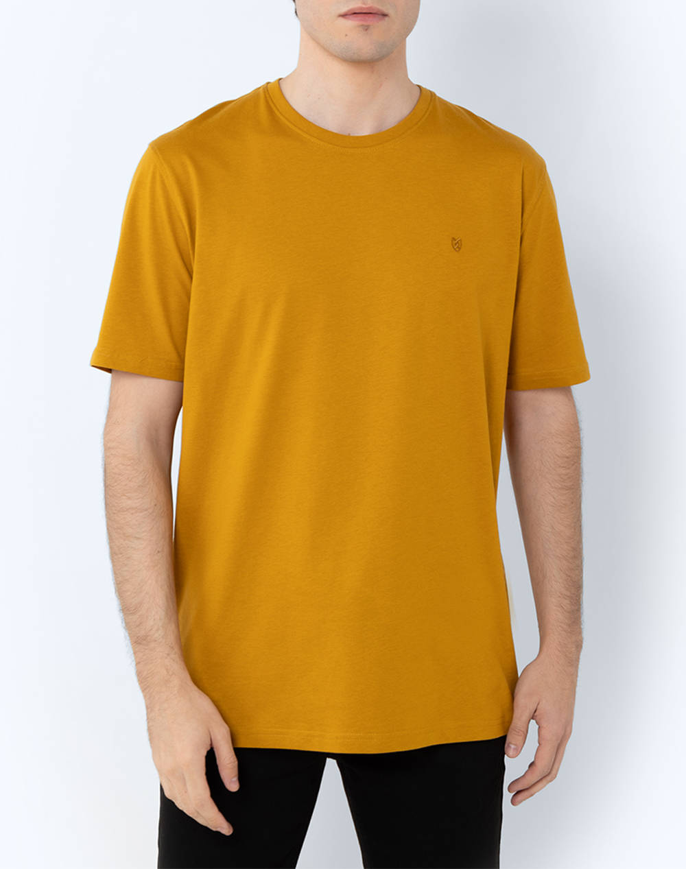 THE BOSTONIANS BLUZA ESSENTIAL T-SHIRT REGULAR FIT