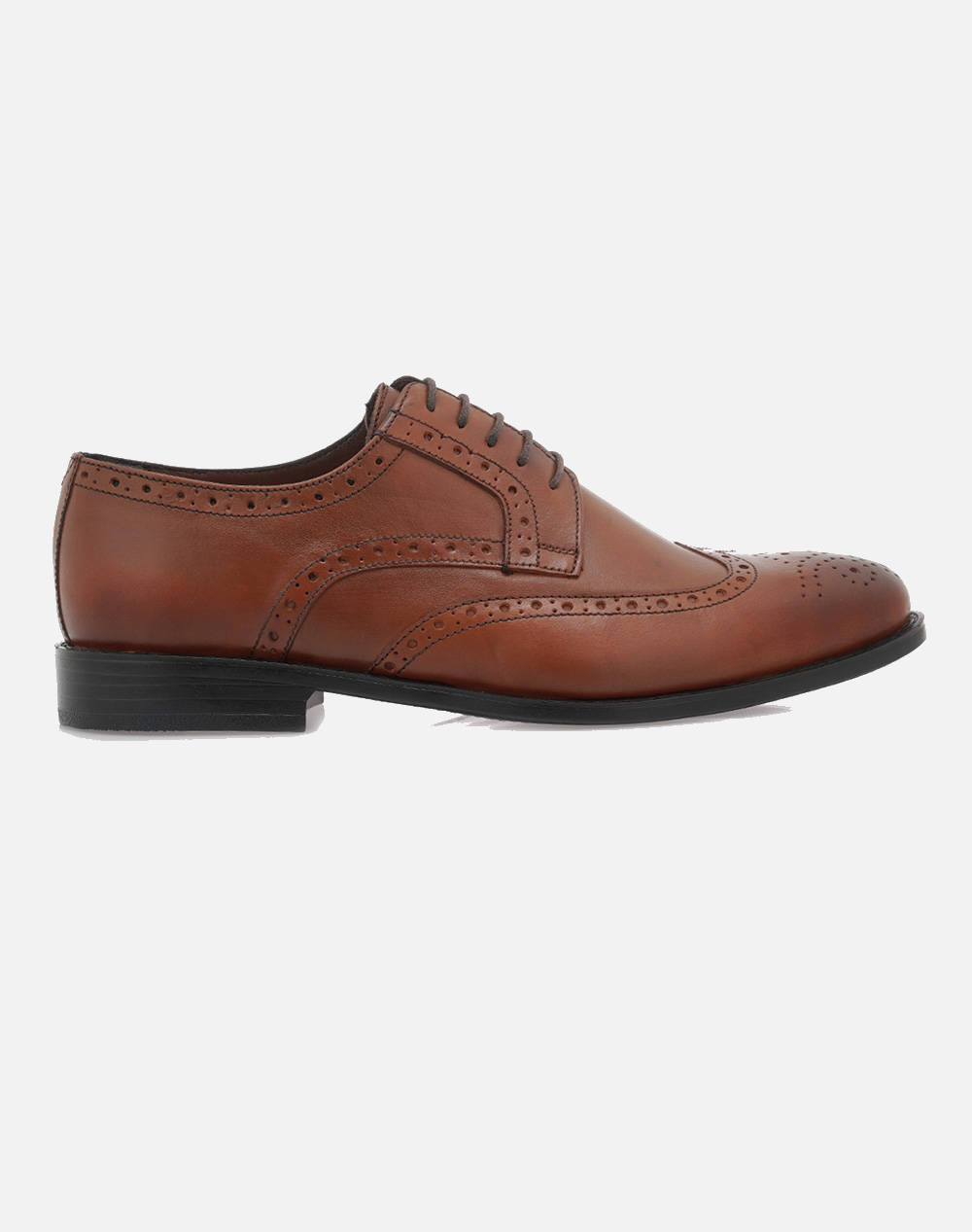 LORENZO RUSSO OXFORDS