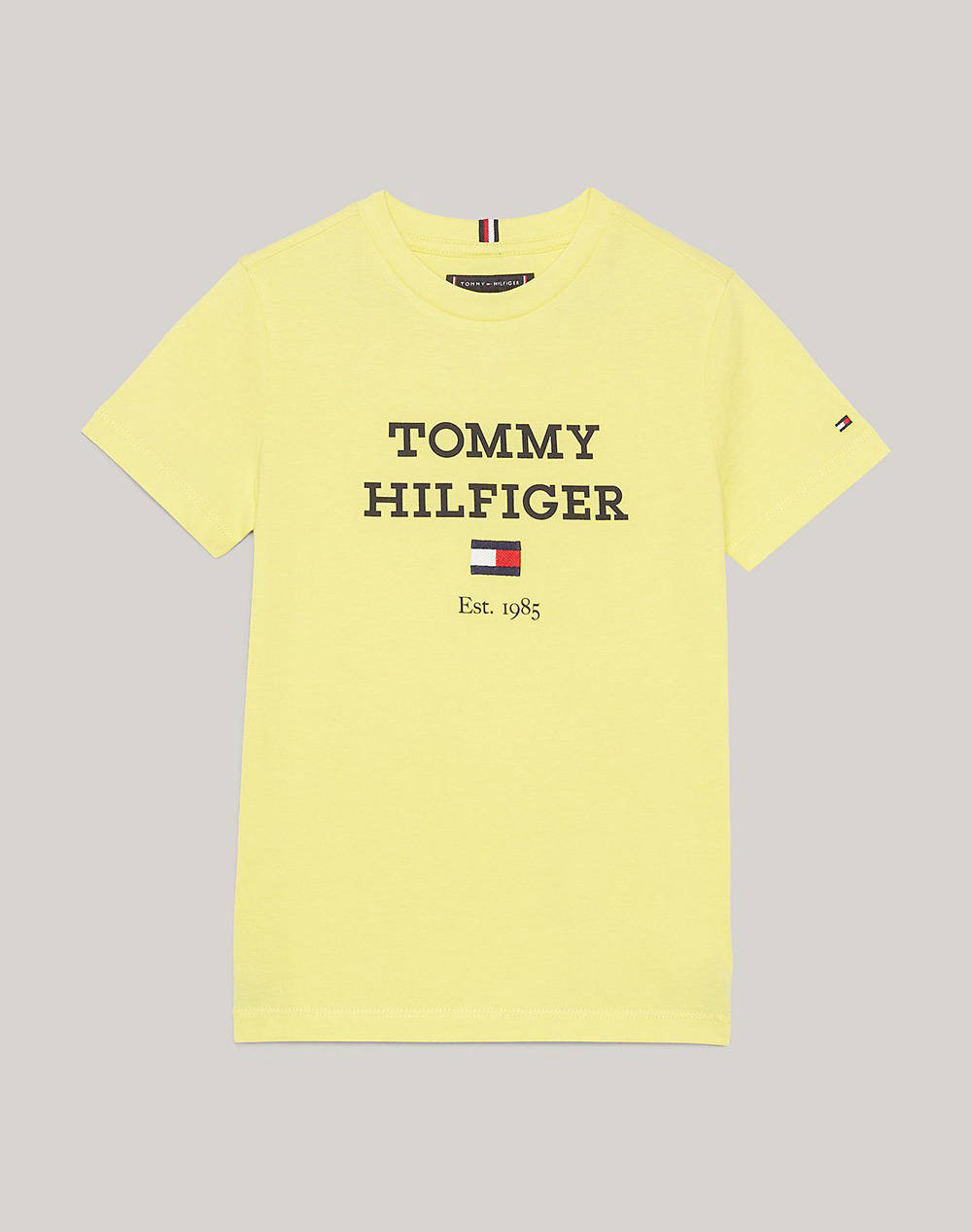 TOMMY HILFIGER TH LOGO TEE