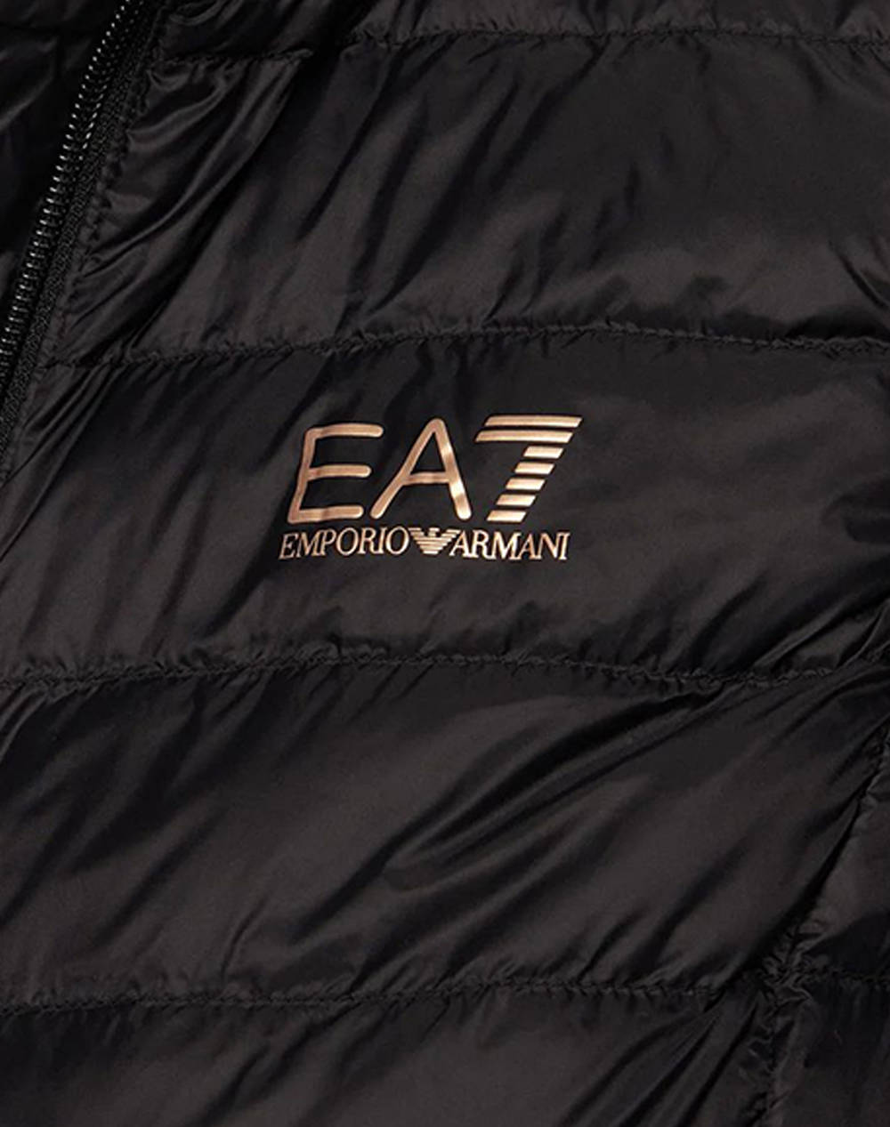 EA7 VEST