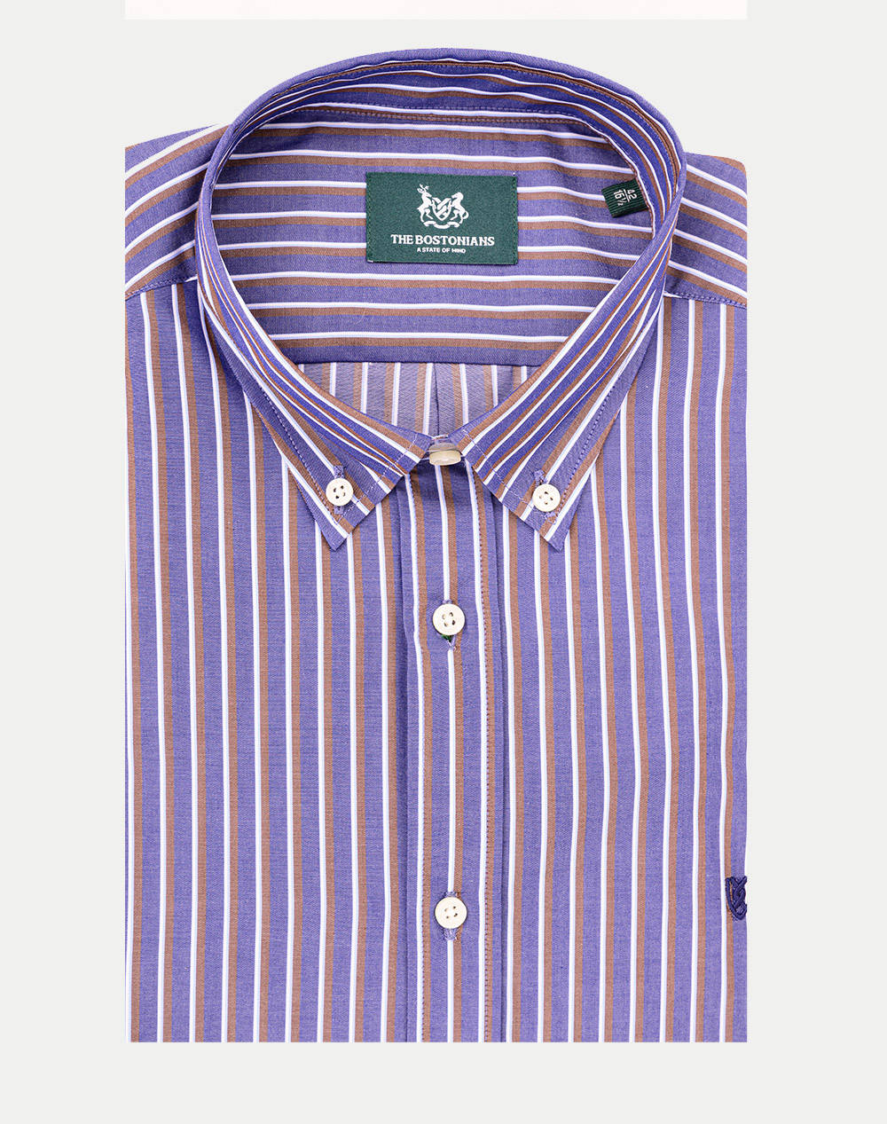 THE BOSTONIANS CAMASA ACORN POPLINA REGULAR FIT Stripe POPLIN Button-down Regular FIT