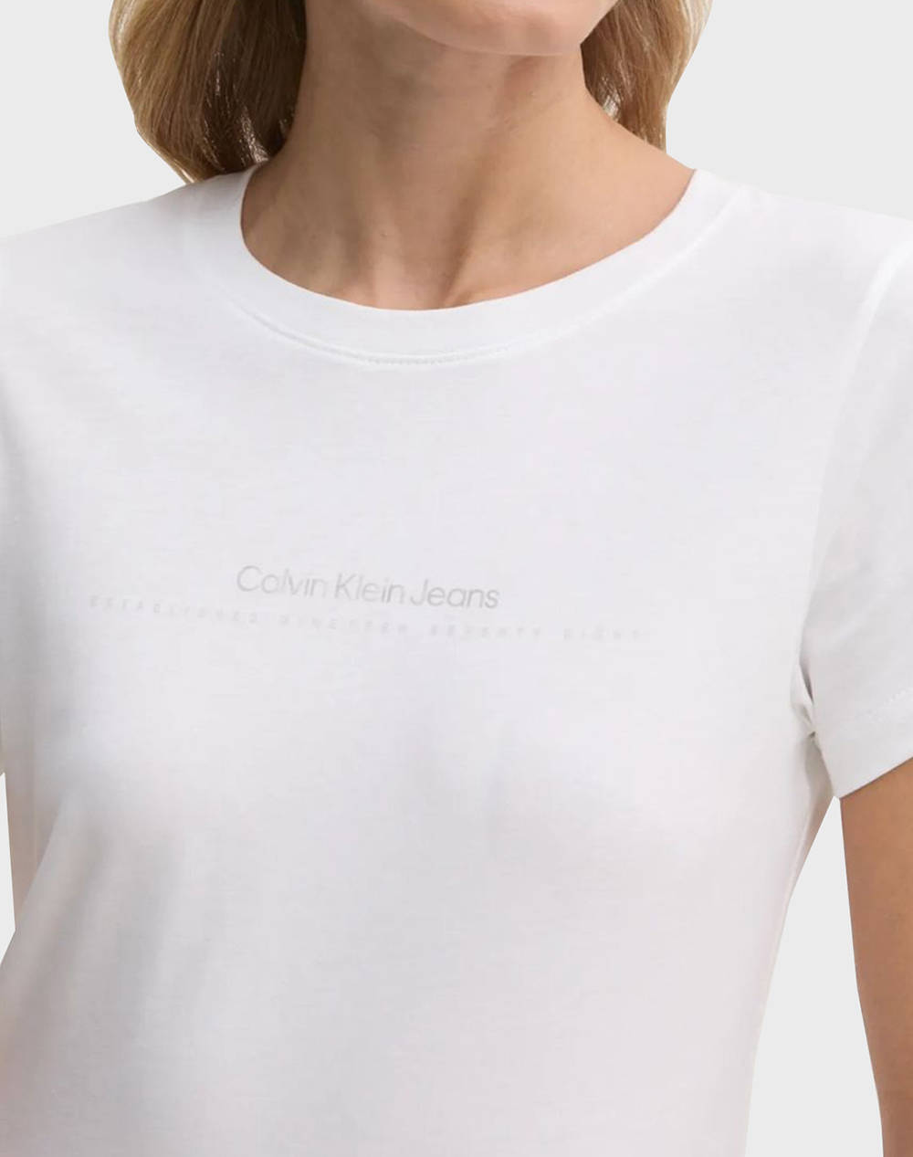 CALVIN KLEIN JEANS INSTITUTIONAL GRAPHIC SLIM TEE