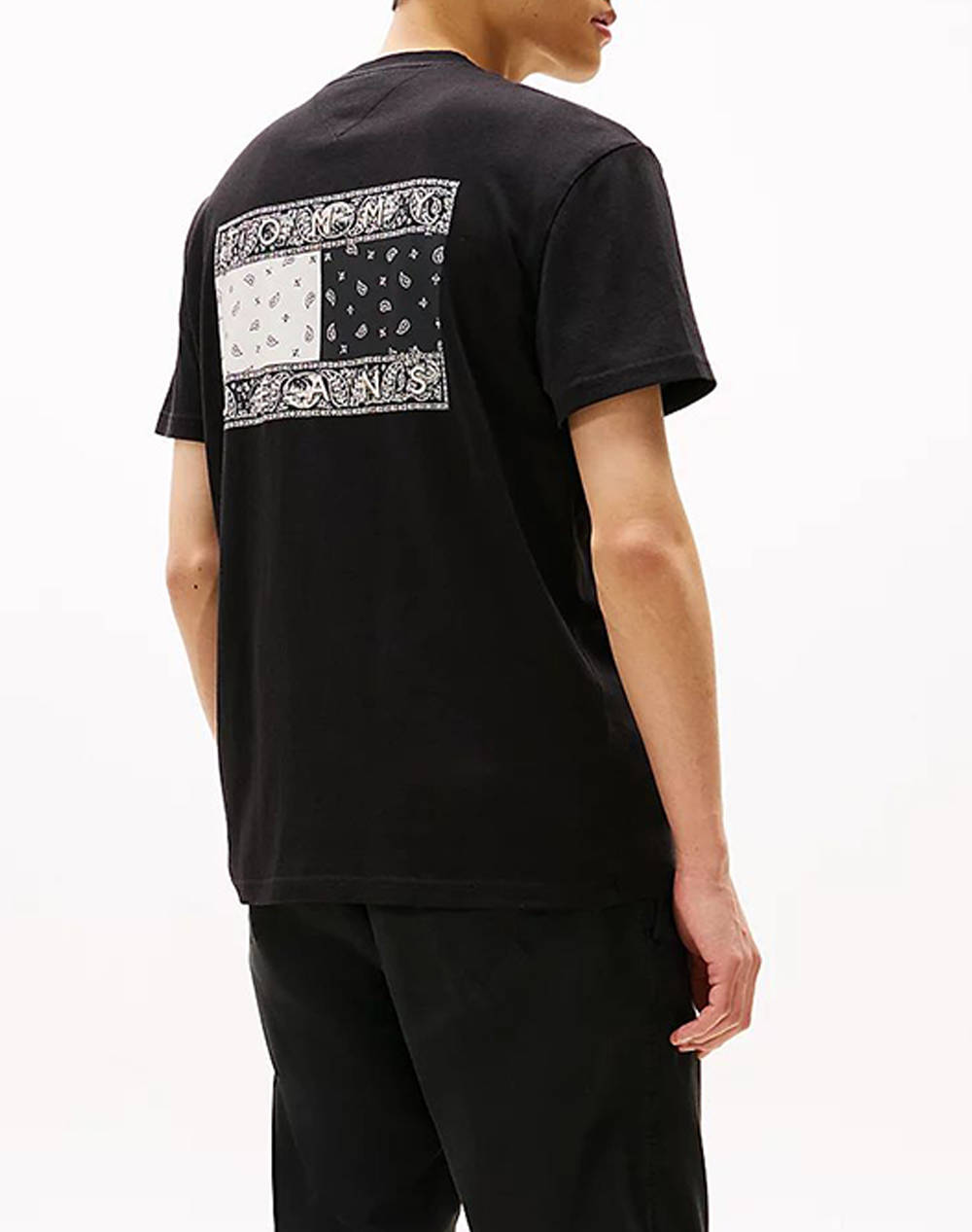 TOMMY JEANS TJM REG PAISLEY FLAG TEE EXT