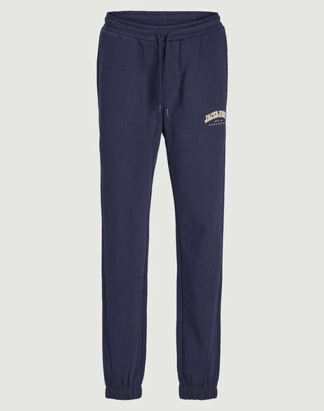 JACK&JONES JPSTKANE JJCALEB SWEAT PANTS JNR