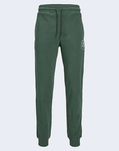 JACK&JONES JPSTGORDON JJSWIFT SWEAT PANTS