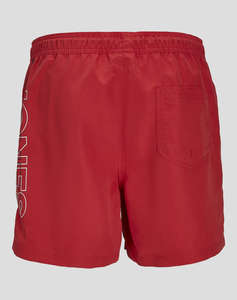 JACK&JONES JPSTFIJI JJSWIM DOUBLE LOGO LY SN JNR