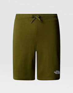 THE NORTH FACE M GRAPHIC SHORT LIGT