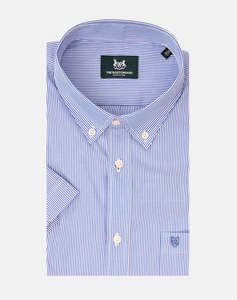 THE BOSTONIANS CAMASA ACORN POPLIN REGULAR FIT Stripe POPLIN Button-down Regular Fit