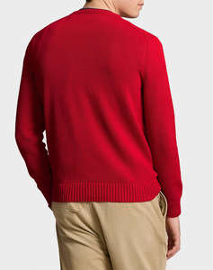 RALPH LAUREN LSCNPP7GG-LONG SLEEVE-SWEATER