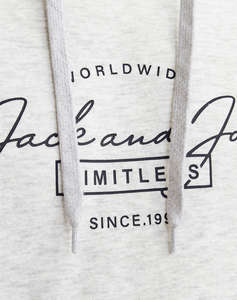 JACK&JONES JJFERRIS SWEAT HOOD