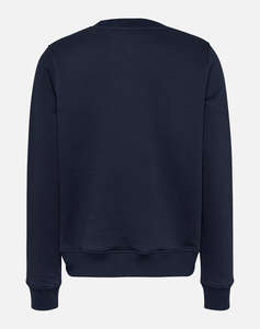 TOMMY JEANS TJW REG LINEAR CREW EXT