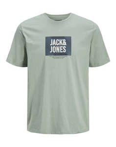 JACK&JONES JJHUDSON TEE SS CREW NECK LN