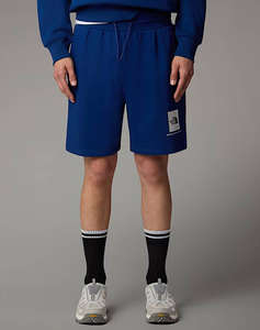 THE NORTH FACE M BOX NSE REGULAR SHORT